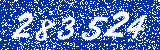 Capcha image